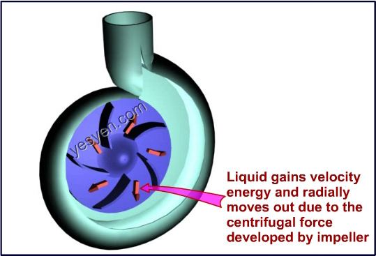 Centrifugal Pump Theory